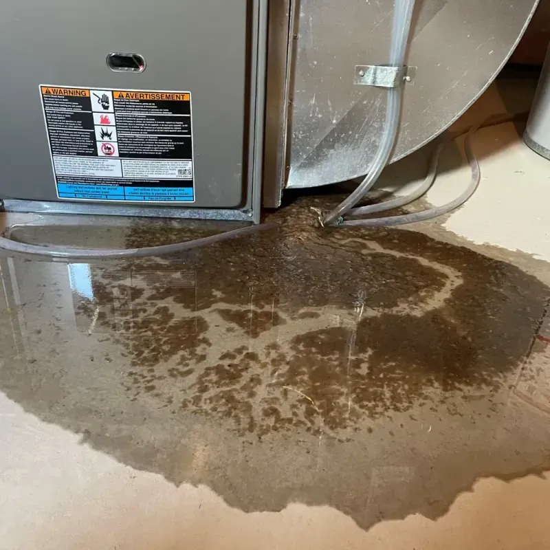 Appliance Leak Cleanup in Venus, TX